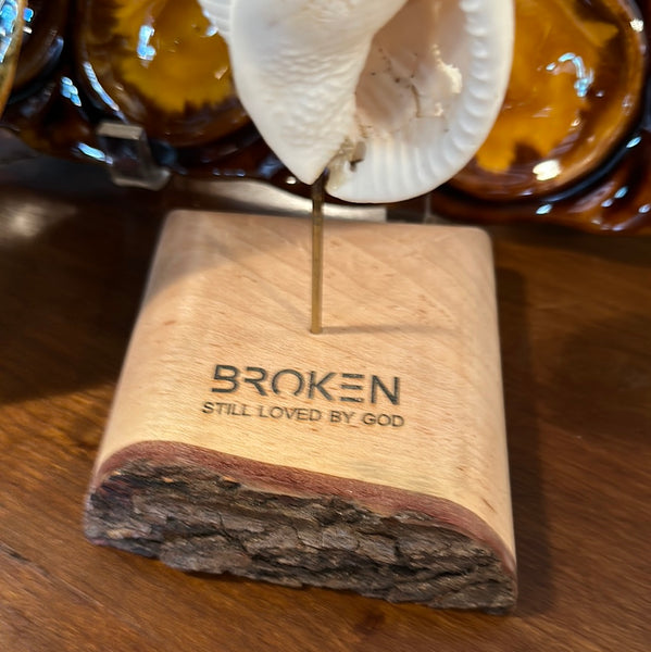 "Broken" Shell, Small