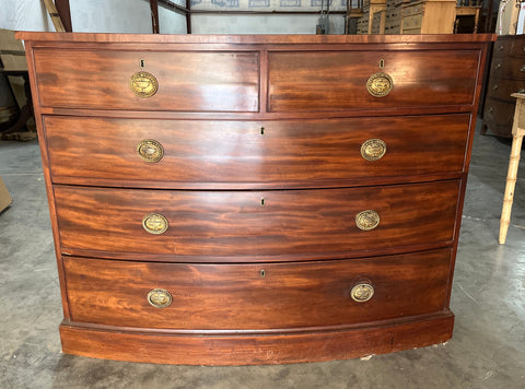 Mahogany Bow Front Chest with Oval Brass Pulls