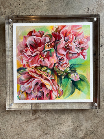 "Roses", by Angela Zokan Acrylic Framed Print