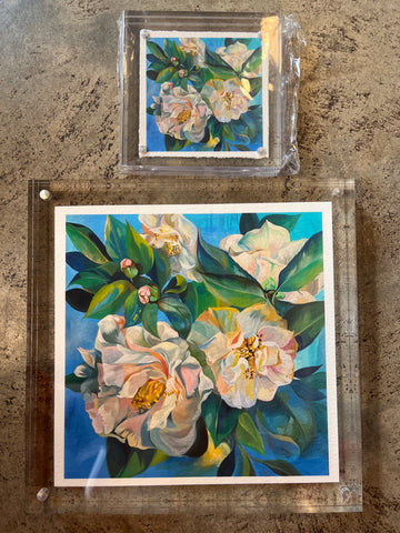 White Peonies on Blue Background, by Angela Zokan Acrylic Framed Print