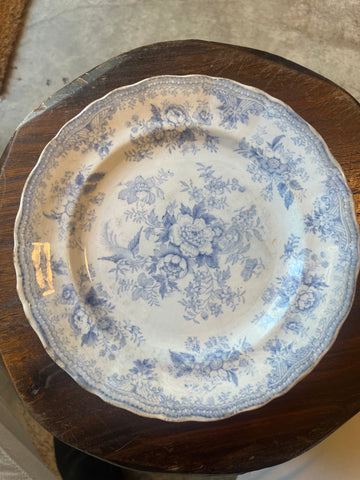 Asiatic Pheasants Plate