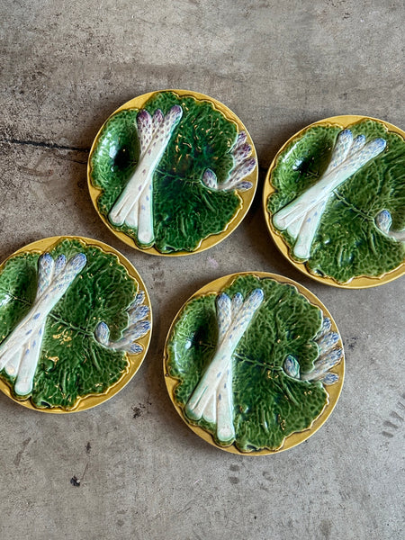 Majolica Asparagus Plate, Creil & Montereau Terre de Fer