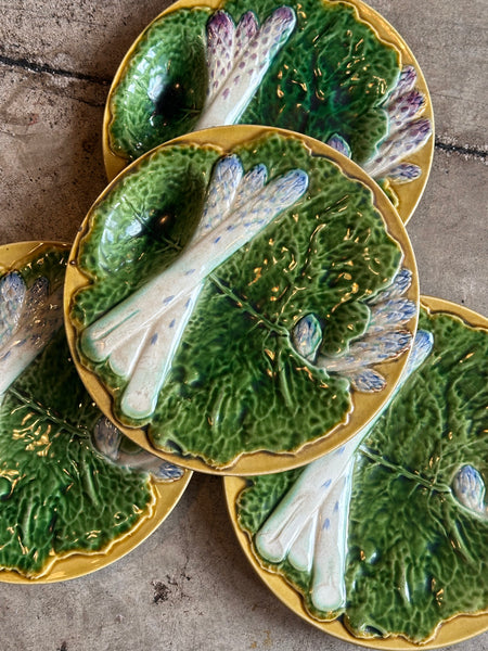 Majolica Asparagus Plate, Creil & Montereau Terre de Fer