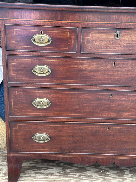 Scottish Mahogany Flat Front Chest with Stringing