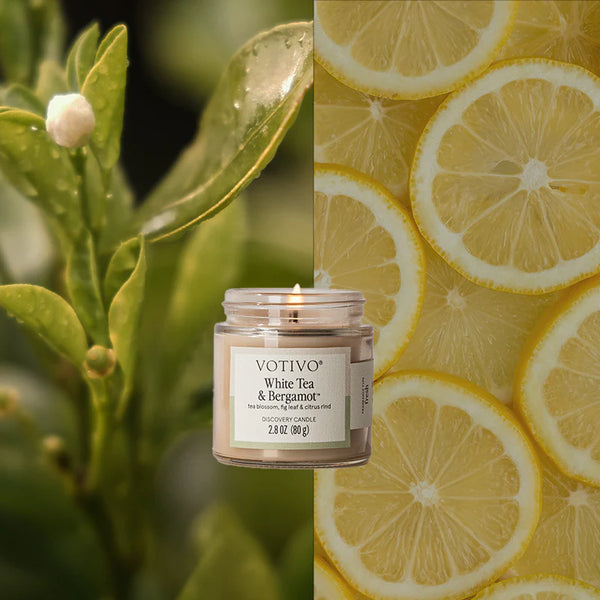 White Tea & Bergamot Discovery Candle