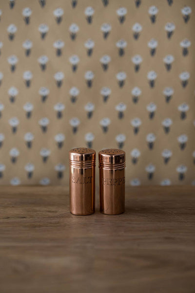 Copper Salt & Pepper Shakers