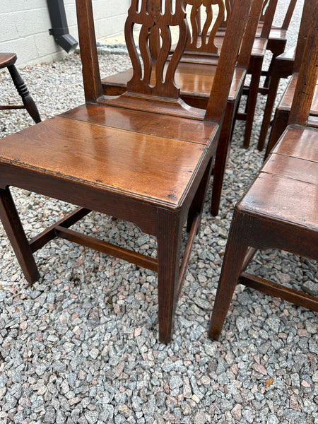 Set of Seven Chippendale Oak Chairs