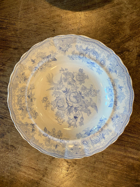 Asiatic Pheasant Rimmed Bowl