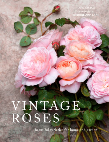 Vintage Roses
